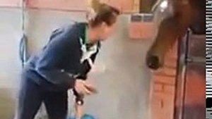 Cette jeune femme met la musique et danse, la réaction du cheval est juste hilarante !