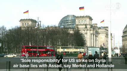 Germany: Assad bears 'sole responsibility' for US air strike