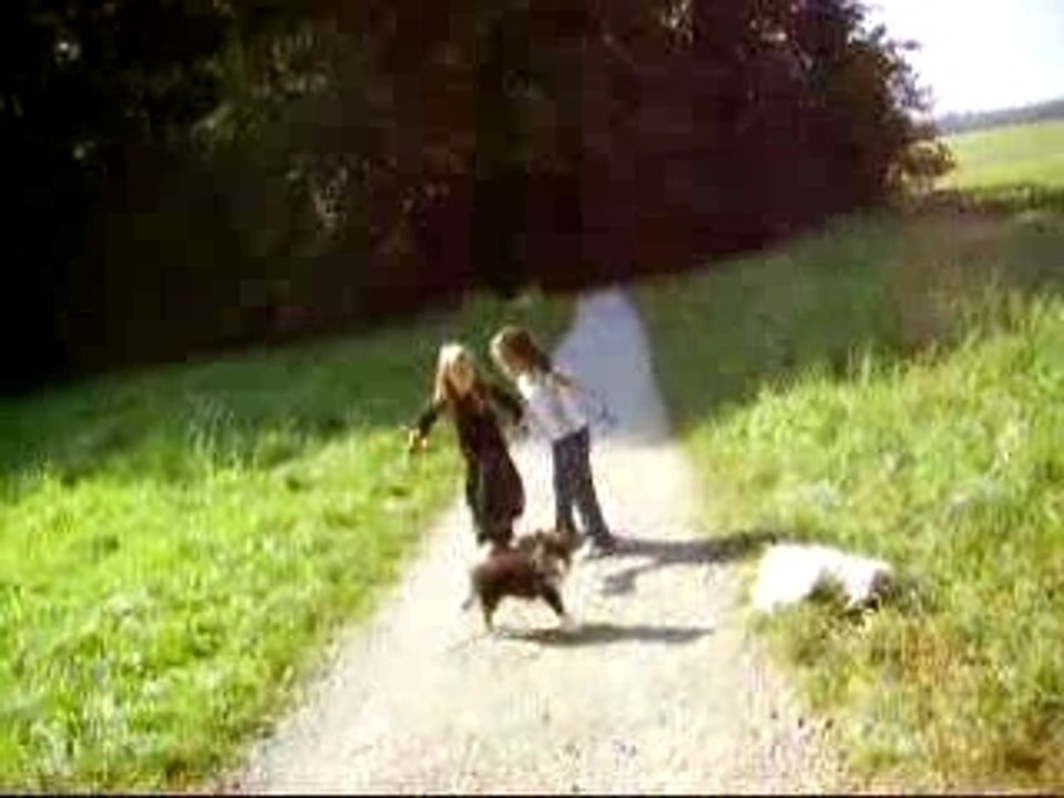 mon chiot et sa copine