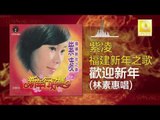 林素慧 Lin Su Hui - 歡迎新年 Huan Ying Xin Nian (Original Music Audio)
