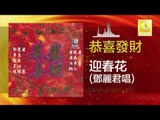 鄧麗君 Teresa Teng - 迎春花 Ying Chun Hua (Original Music Audio)