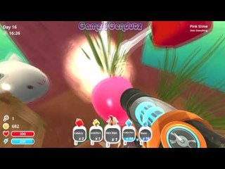 Tabby Gordo Kedua | Slime Rancher "Genduterz Tampan" Part 29