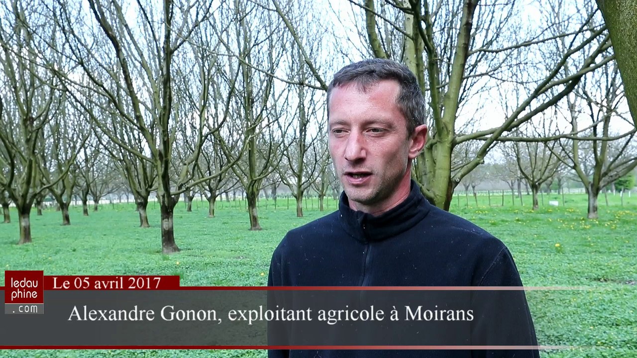 Alexandre Gonon sur la route de la présidentielle