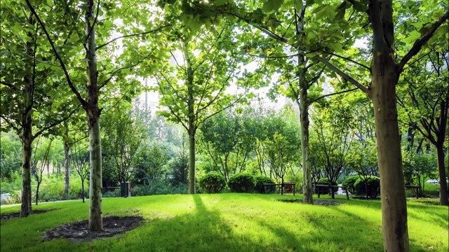 Mac's Landscaping LLC - (330) 242-5661