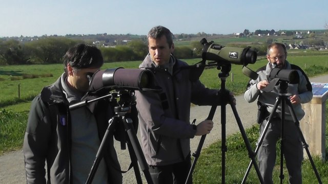 Un matin dans la réserve de la Baie de Saint Brieuc