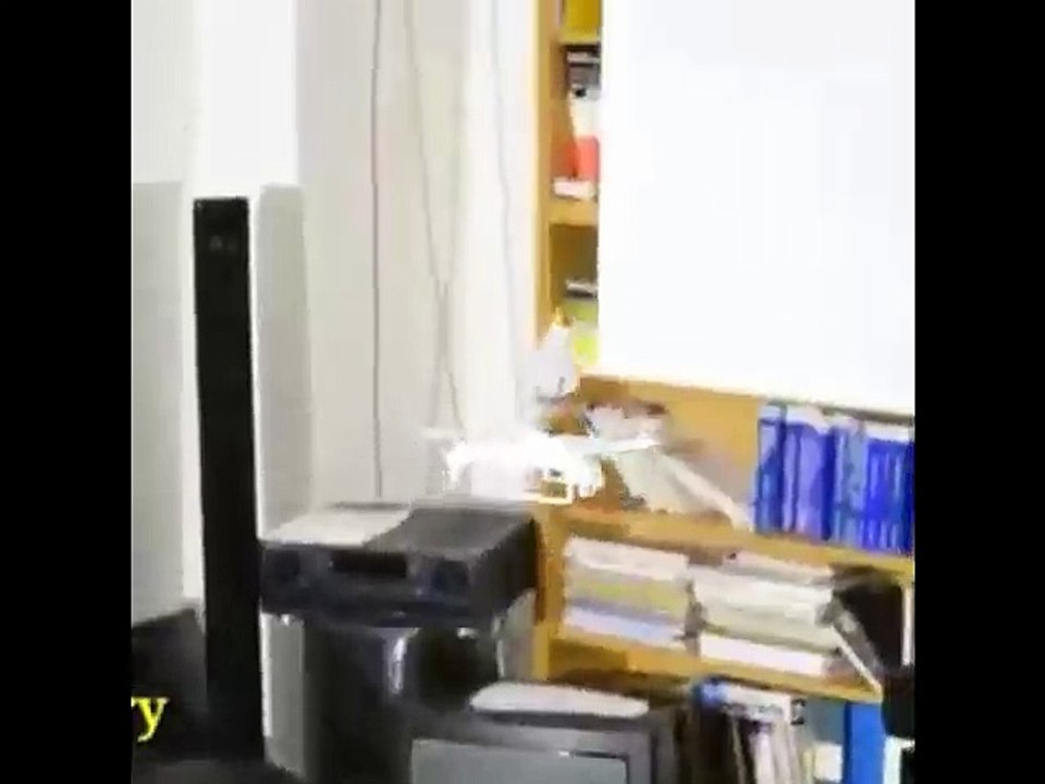 Amazing Home Helping Drones