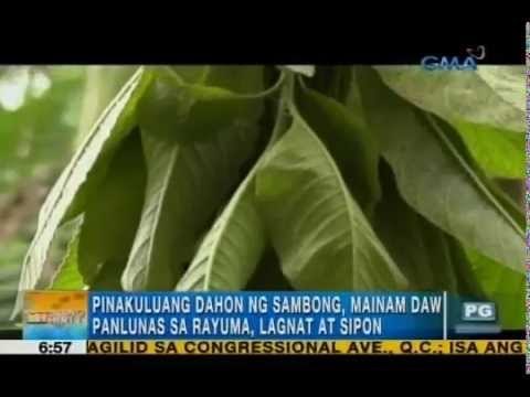 Medical wonders of plants and herbs | Unang Hirit