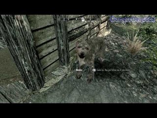 Jemput Aela & Meeko! | TES V Skyrim Genduterz - part 194