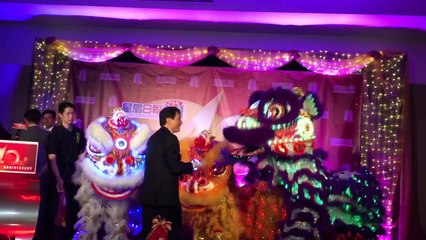 Light Up LED Lion Dance