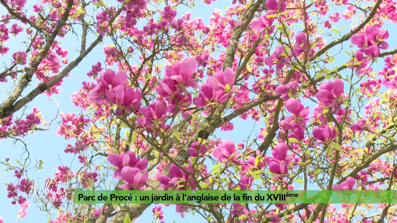 Folies Botaniques au Parc de Procé #1 : présentation
