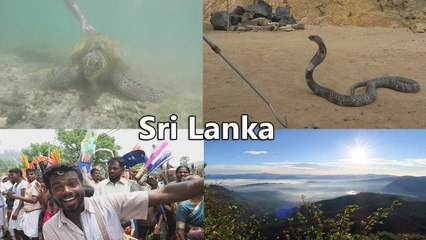Sri Lanka - Wonderful Experience - Expérience Magnifique - (Preview #1) 1080p60 Ultra