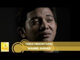 Wanns Ahmad - Terus Mencintaimu (Official Music Video)