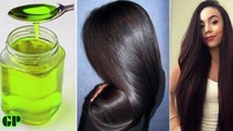 One Oil That Will Stop Your Hair Fall and Grow Thick Long Hair.