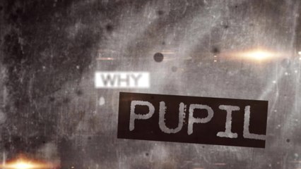 Pupil - Why
