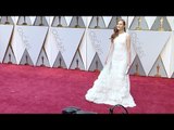 Darby Stanchfield 2017 Oscars Red Carpet