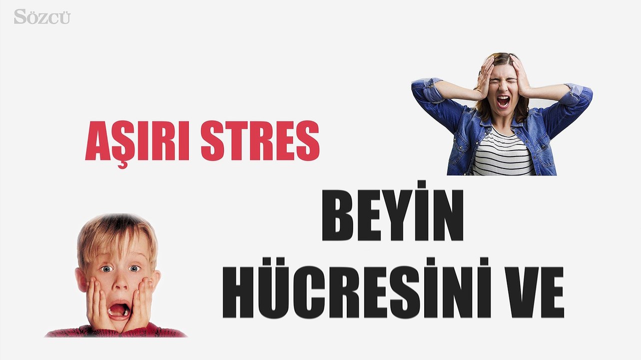 İnsan psikolojisi hakkında 10 ilginç bilgi...