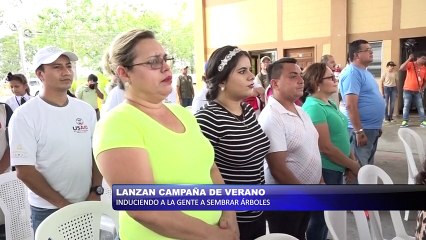 Lanzan campaña de verano para sembrar arboles