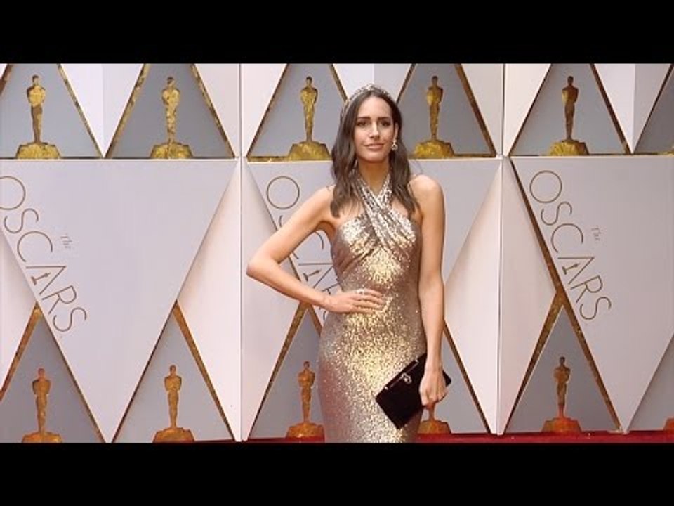 Louise Roe 2017 Oscars Red Carpet