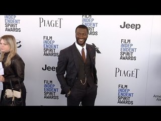 Aldis Hodge 2017 Spirit Awards Arrivals