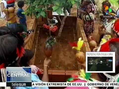 Brasil, el mayor consumidor de agrotóxicos en el mundo según expertos