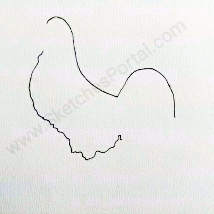 How to draw a rooster in 7 steps