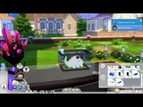 Crash~ XD | The Sims 4 