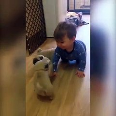 Dogs poppy With Human Child Funny Or Funny Dog poppy think he is momKids Funny Video,Baby Popcy,funny baby fails