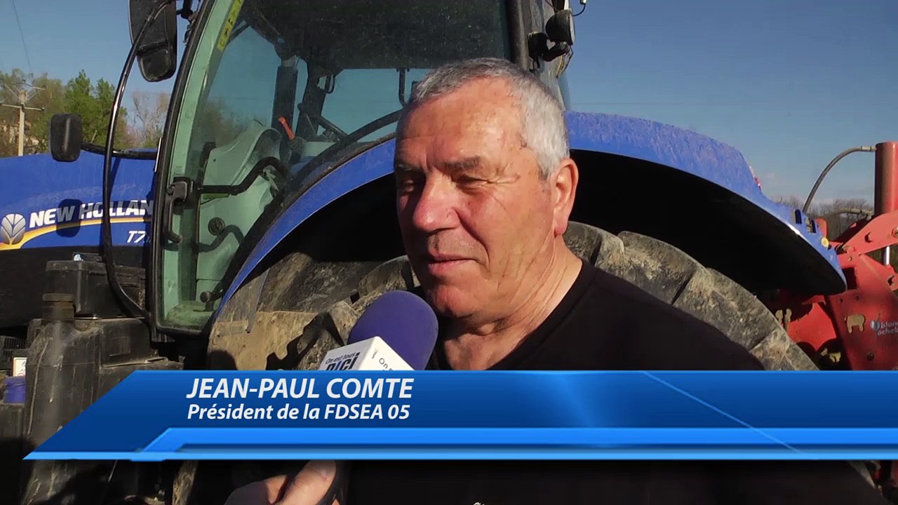 Alpes-de-Haute-Provence : On se prépare pour la fête de l'agneau Pascal à Digne ce dimanche