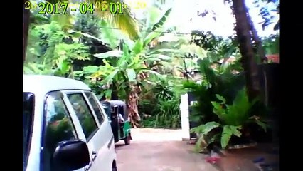 My love in 2 years and 7 months old