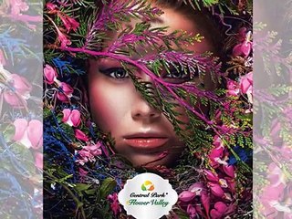 Central Park Flower Valley Lavender Suites Floors