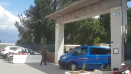 13 Dönümlük Araziye 450 Kök Esrar Eken Şahıs Yakalandı