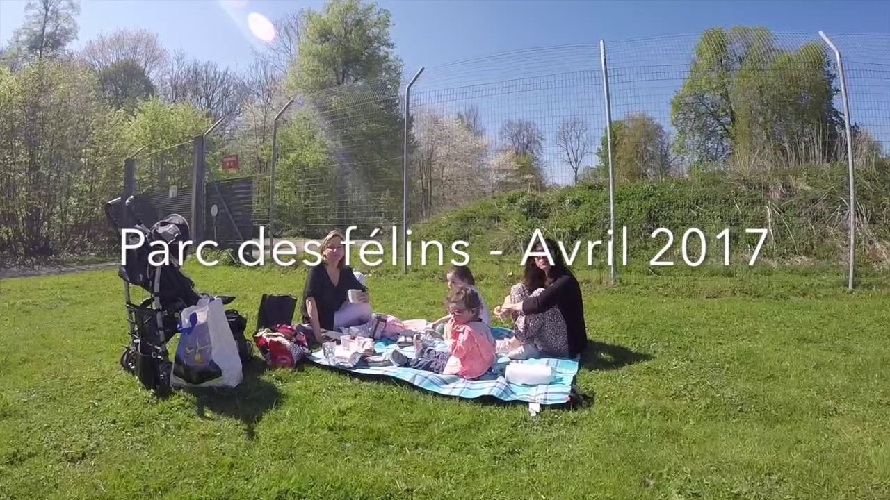 Parc des félins - Avril 17