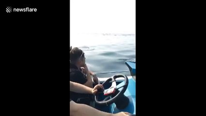 Hundreds of dolphins surround boats off Chinese coast