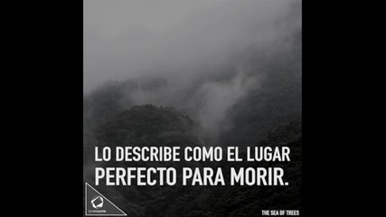 Aokigahara, el bosque del suicidio en Japón