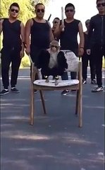 Gangster monkey slow motion style