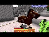 Qiqi butuh kaca~~ :D | Minecraft 