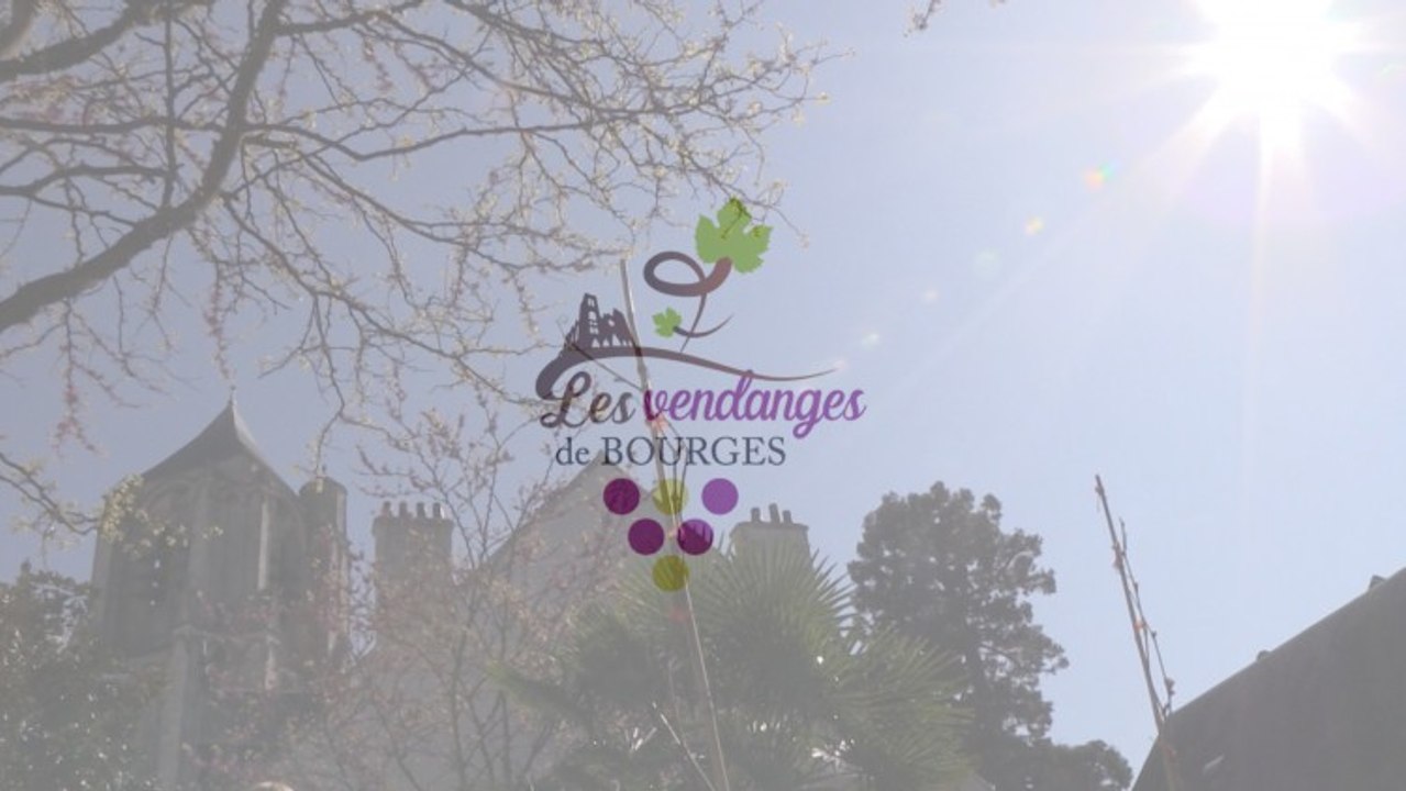 LES VENDANGES DE BOURGES