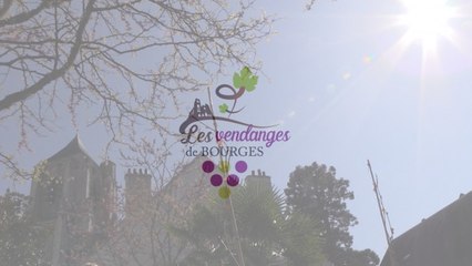 LES VENDANGES DE BOURGES