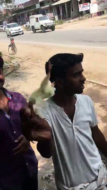 Cet homme vend des poussins de manière très choquante