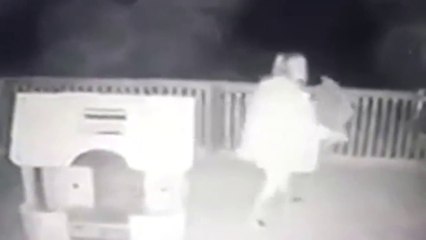 Vol d'un jouet d'enfant la nuit par la voisine !