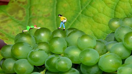 「마포오피」＂아달＂마포마사지「마포안마」마포건마