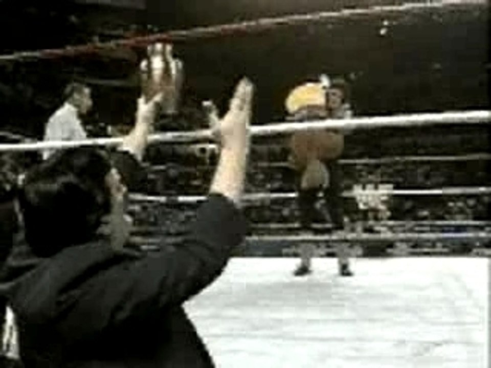 WWE - Undertaker tombstones Hulk Hogan