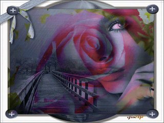 CANAN BAŞKAYA GÜL EK YÜREĞİNE