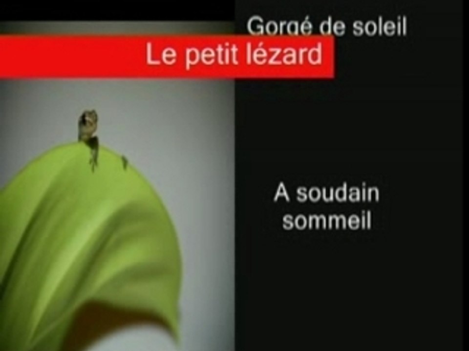 Lezard