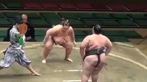 Sumo Güreşi japonya, dan  bu ilginç güreşi tüm dünya biliyor geleneksek bır spor