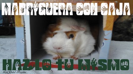 FABRICA UNA MADRIGUERA CON UNA CAJA PARA ROEDORES Y CONEJOS / HAZLO TU MISMO/ BARATO,FÁCIL Y CASERO