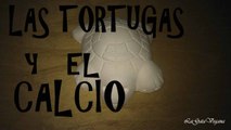 LA IMPORTANCIA DEL CALCIO PARA LAS TORTUGAS DE AGUA / SUPLEMENTOS CÁLCICOS PARA TORTUGAS DE AGUA
