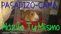 CREA UN PASADIZO-CAMA PARA PEQUEÑOS ANIMALES / HAZLO TÚ MISMO / CASERO ,BARATO Y FÁCIL