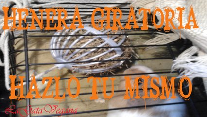 CREA UNA HENERA GIRATORIA PARA ROEDORES Y CONEJOS / HAZLO TÚ MISMO / REUTILIZA PARA CREAR UN JUGUETE
