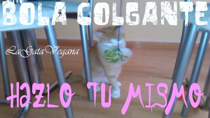 BOLA DE MIMBRE COLGANTE /JUGUETE CASERO PARA GATOS / HAZLO TÚ MISMO